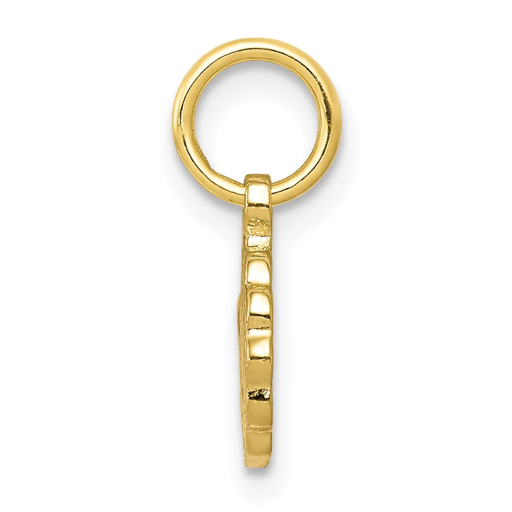 10k Solid Satin Polished Our Lady of Sorrows Disc Pendant