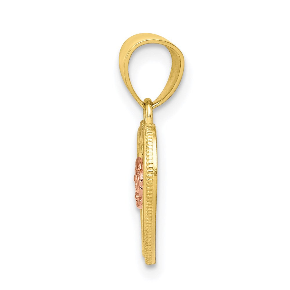 10k Two-tone Small Heart Charm