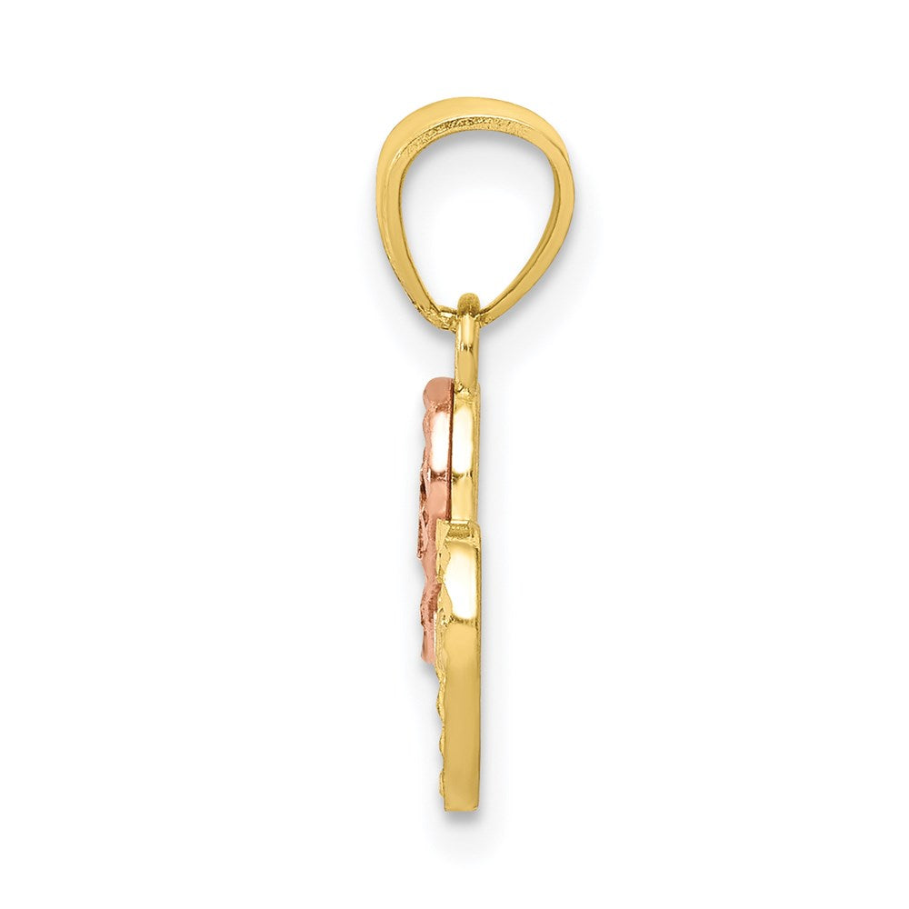 10K Two-Tone Small 15 ANOS Charm