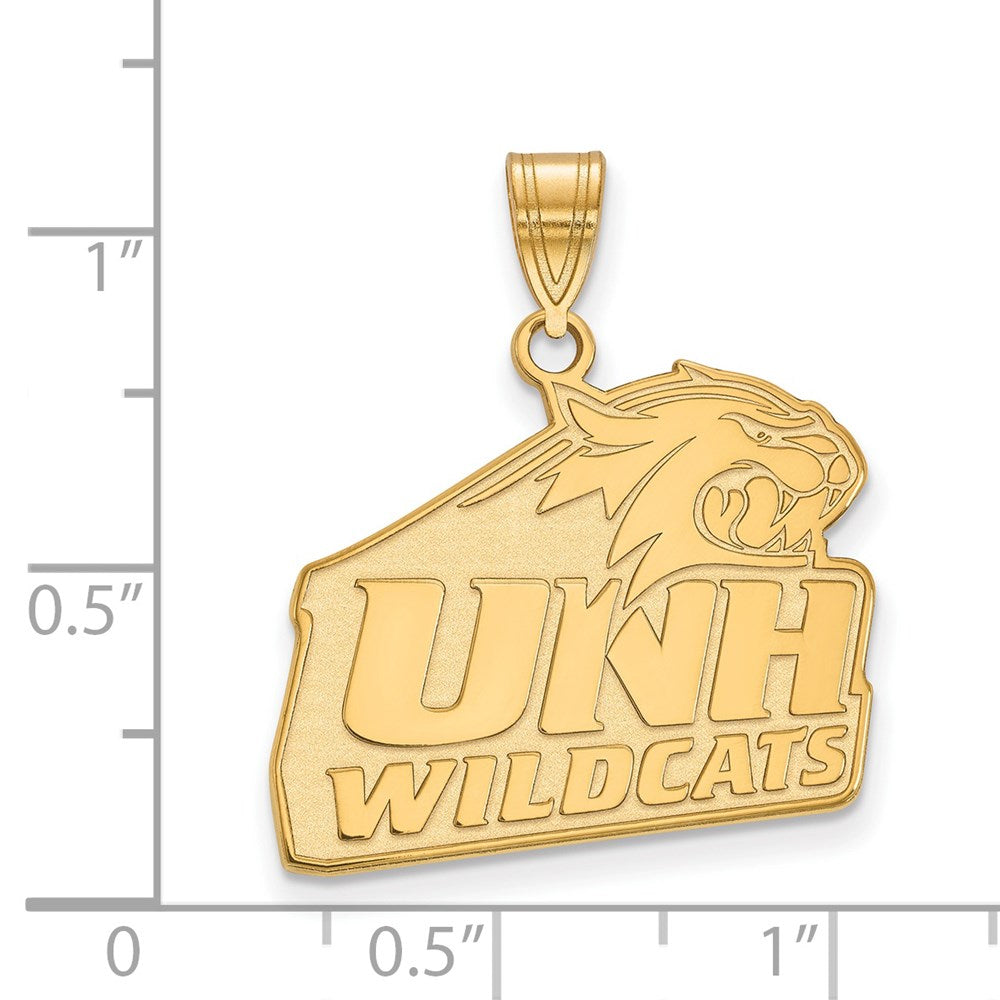 Sterling Silver Gold-plated LogoArt University of New Hampshire Large Pendant