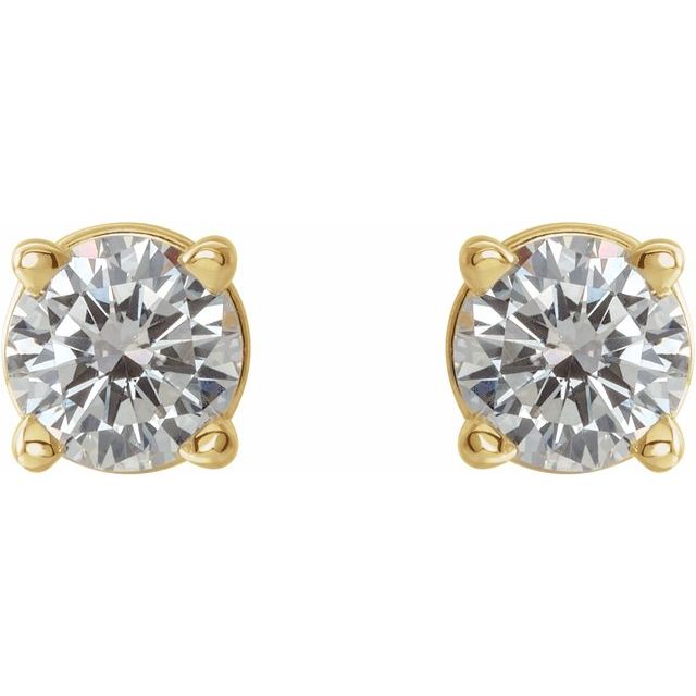14K Yellow 1/3 CTW Diamond Earrings 2