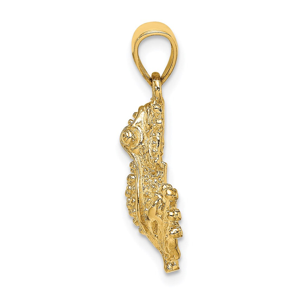 14K 2-D Textured Frog Charm