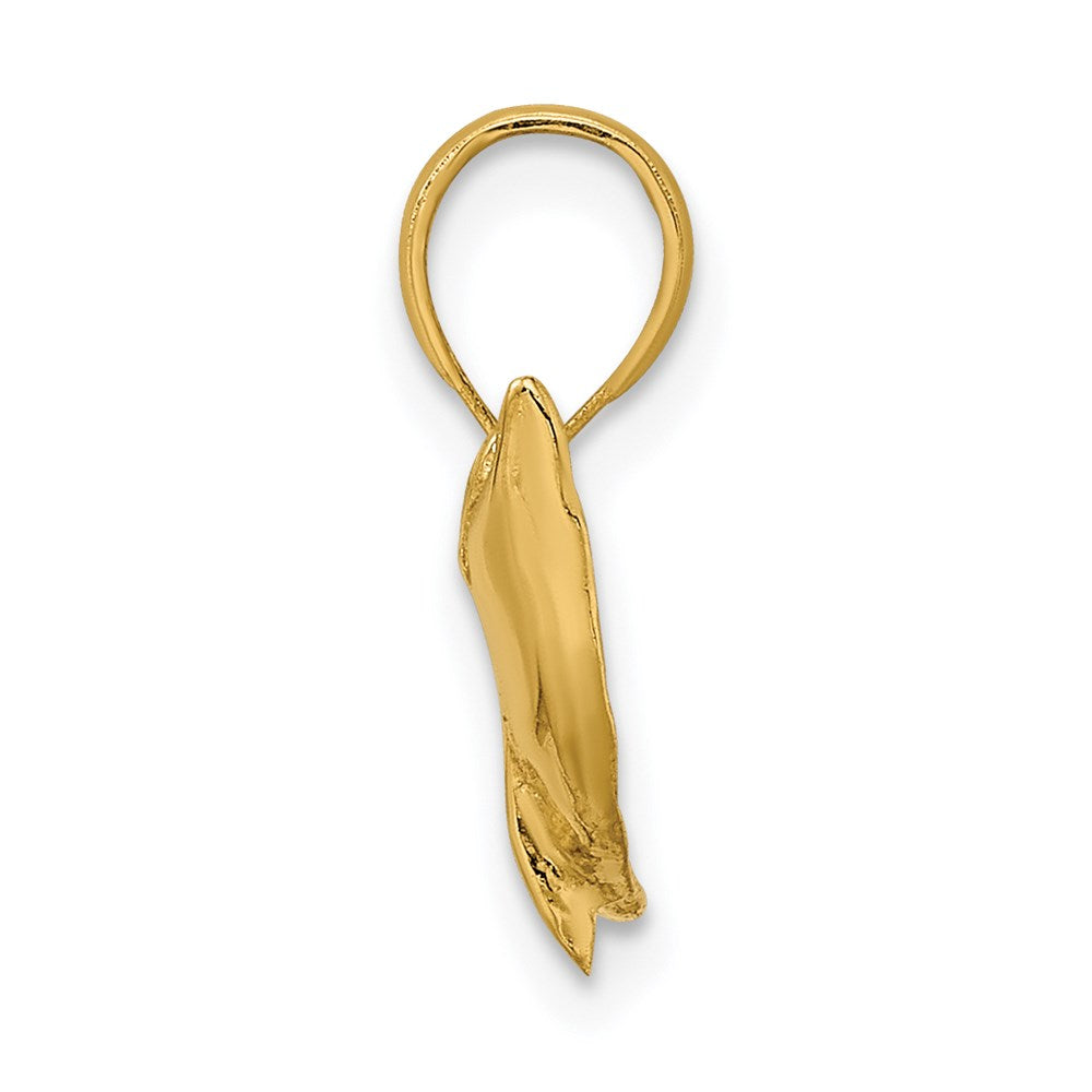 14K Jumping Dolphin Charm 2