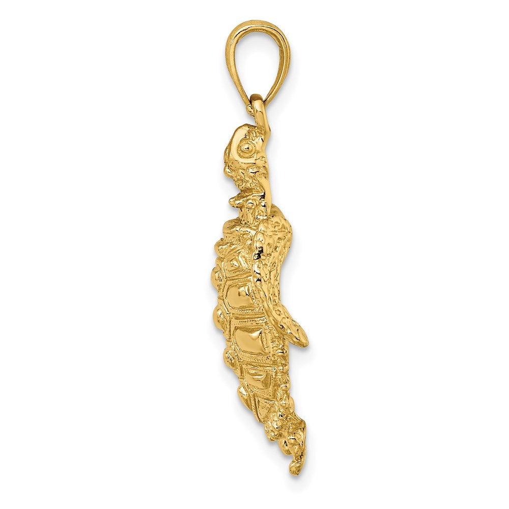 14K Sea Turtle with Spiny Shell Charm 2