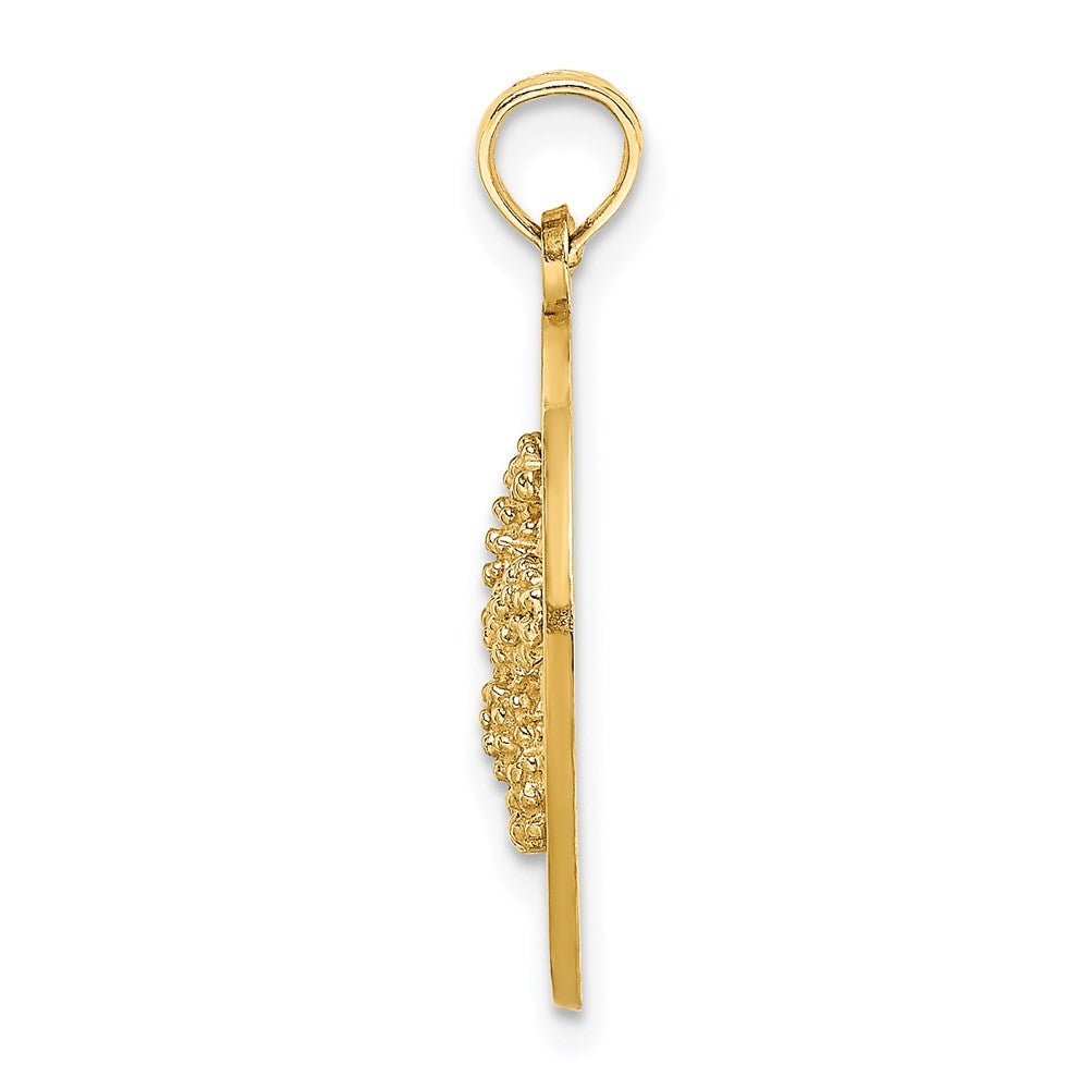 14K SANIBEL w/Starfish Circle Charm 2
