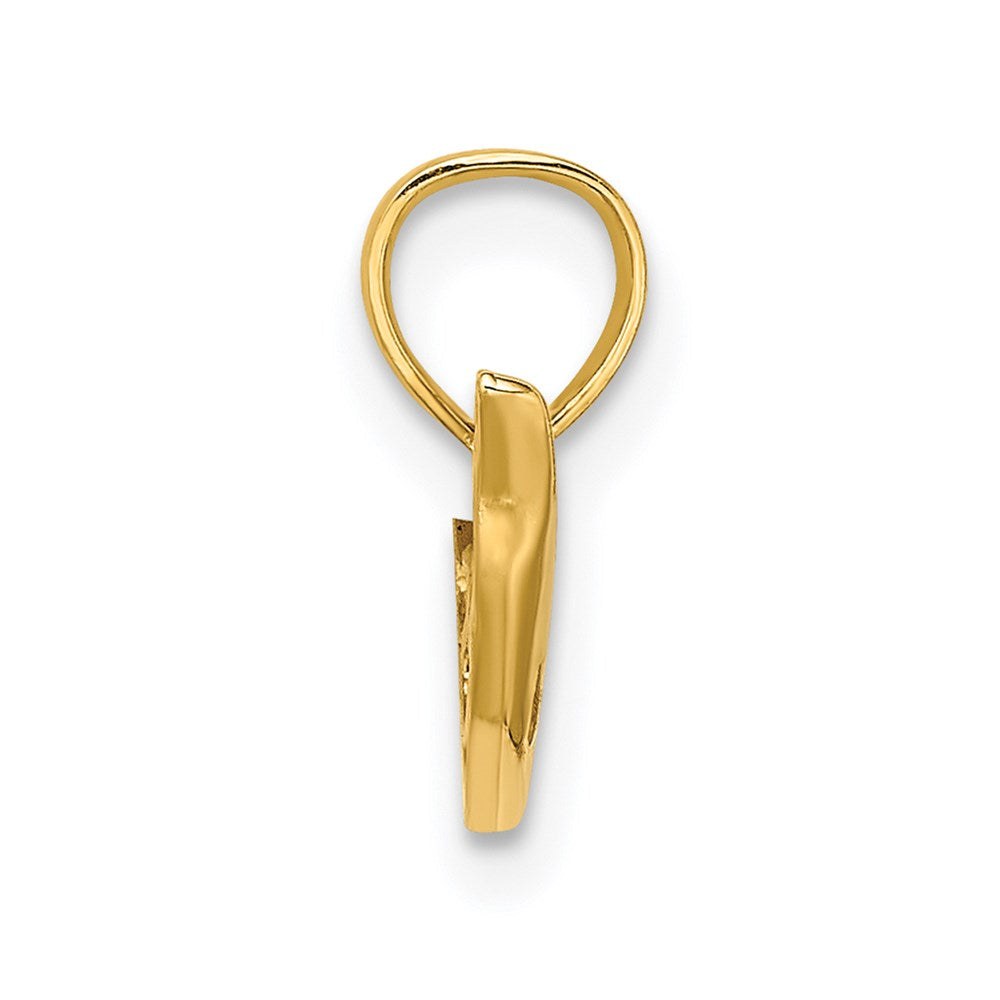 14K Polished Mini Dolphin Charm 2
