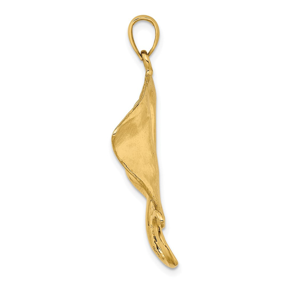 14k Polished Stingray Charm 2
