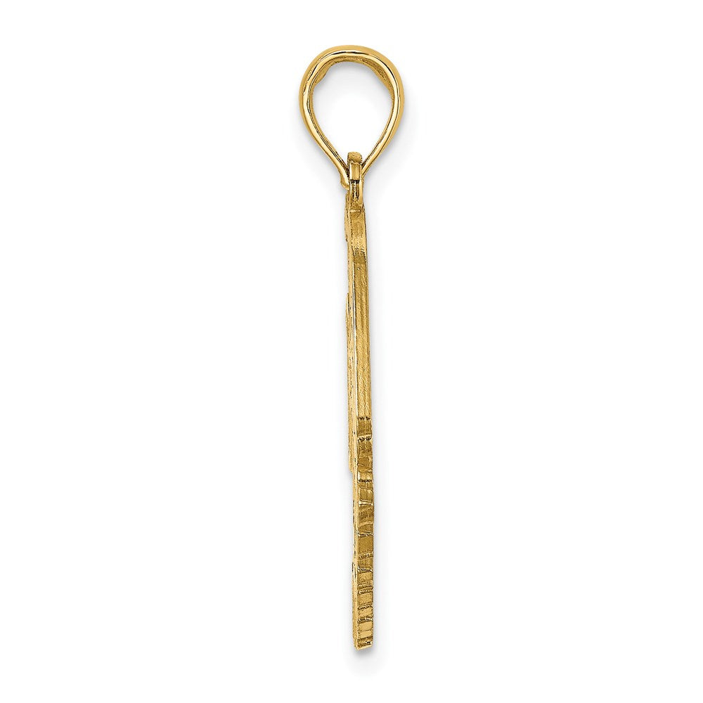 14K Polished ST. MARTIN Under Angelfish Charm 2