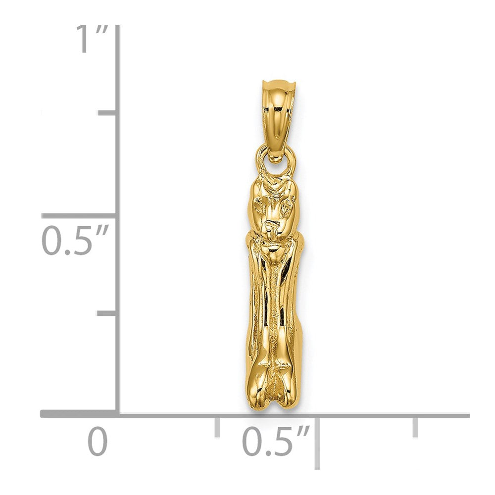 14K 3D Polished MARCO ISLAND Cat Charm