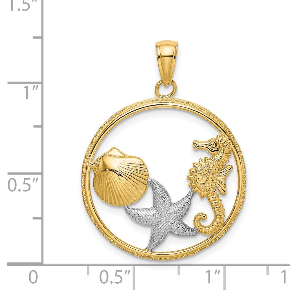 14k with White Rhodium Scallop, Starfish, Seahorse Circle Charm