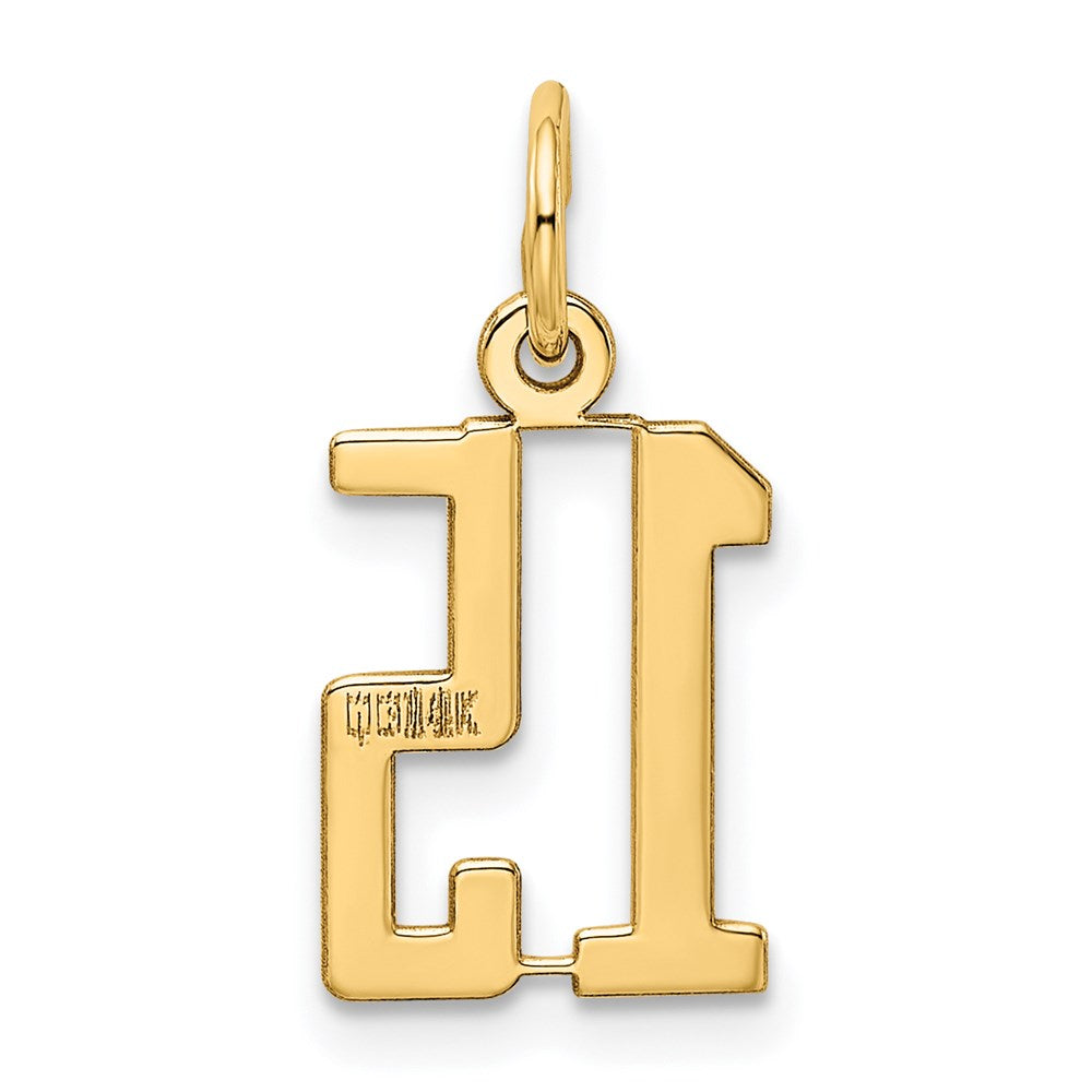 14k Small Elongated Number 15 Charm