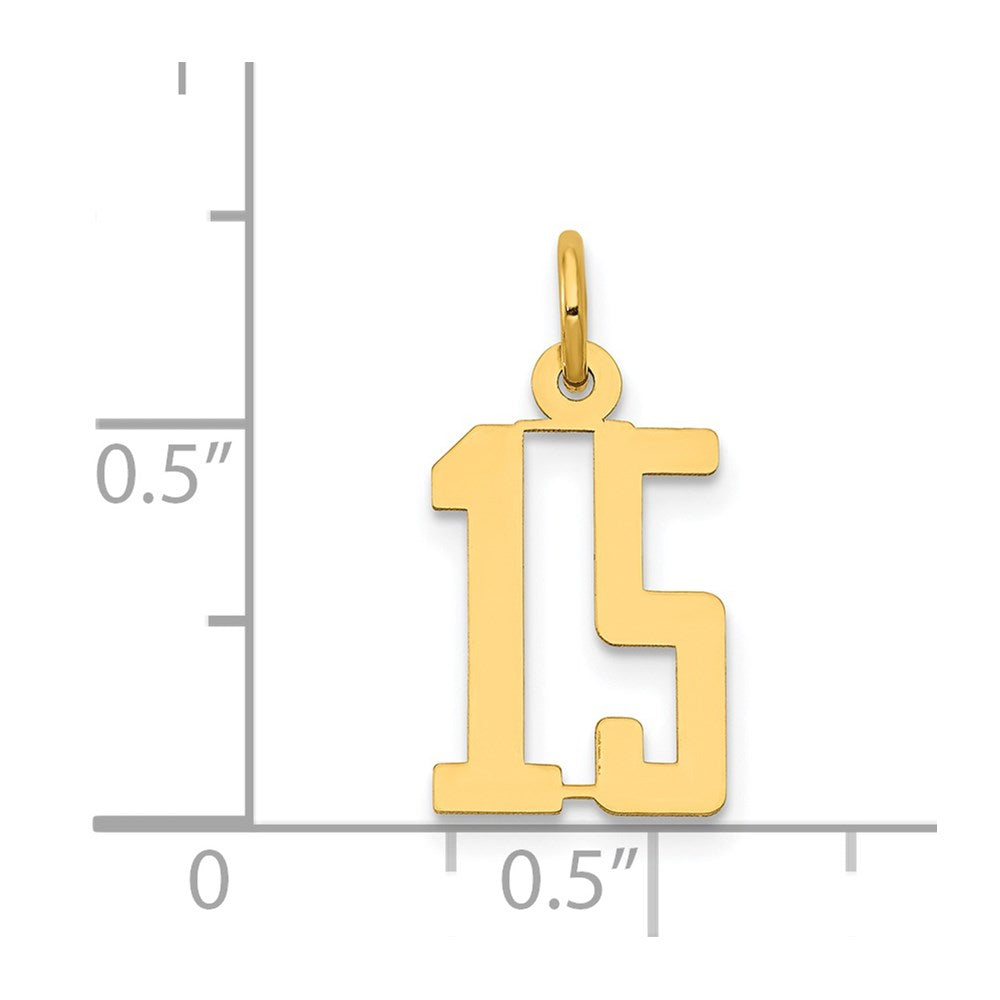 14k Small Elongated Number 15 Charm
