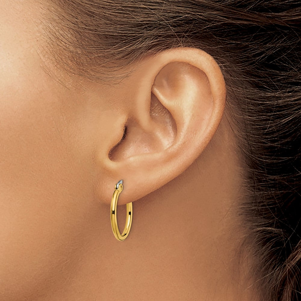 Stainless Steel Polished Yellow IP-plated 19mm Diameter Hoop Earrings