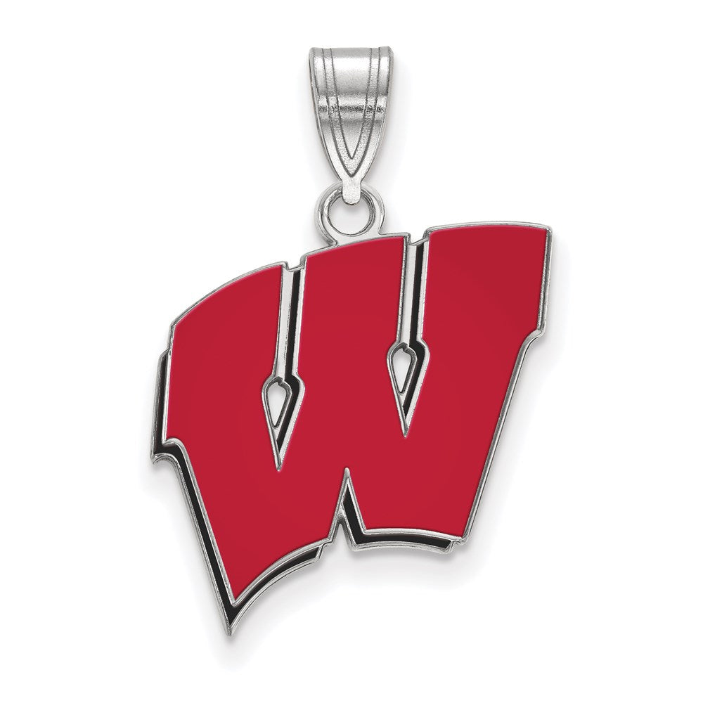 14kw University of Wisconsin Large Epoxied Pendant