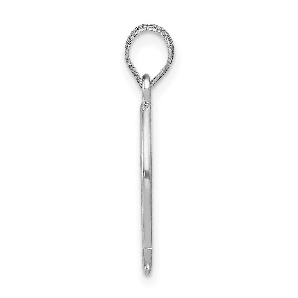 14k White Gold Ichthus Fish Pendant 2