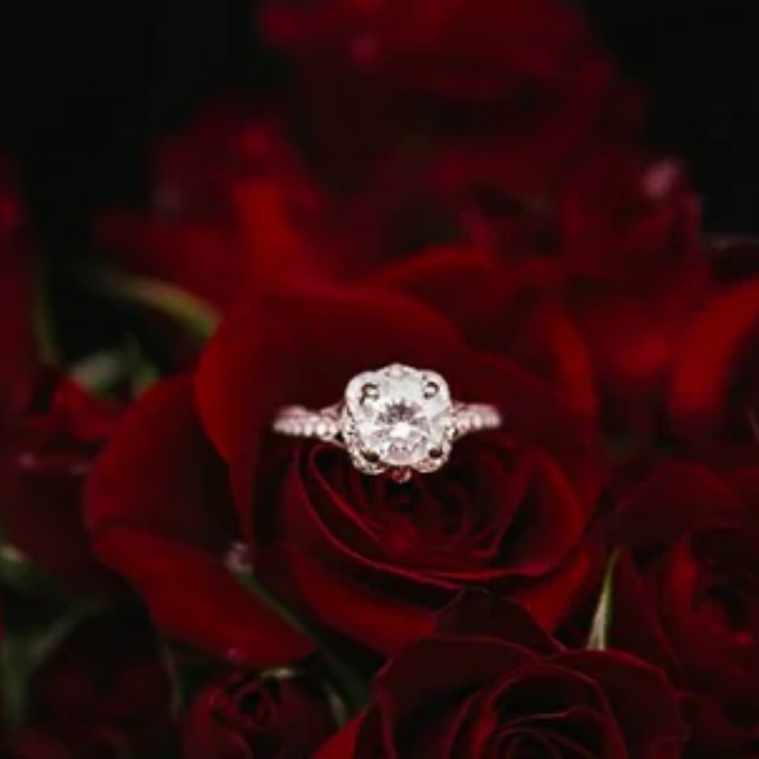 Valentine’s Day Jewelry Gifts to Show Your Love