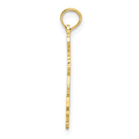 10K Solid Louisiana State Pendant