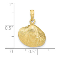 10K Medium Clam Shell Pendant