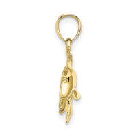 10K Textured Polished Dolphin Jumping Charm 2