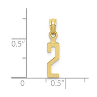 10K Number 2 Block Charm