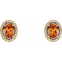 14K Yellow Citrine & 1/10 CTW Diamond Earrings 2