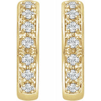 14K Yellow 1/3 CTW Diamond Earrings 2