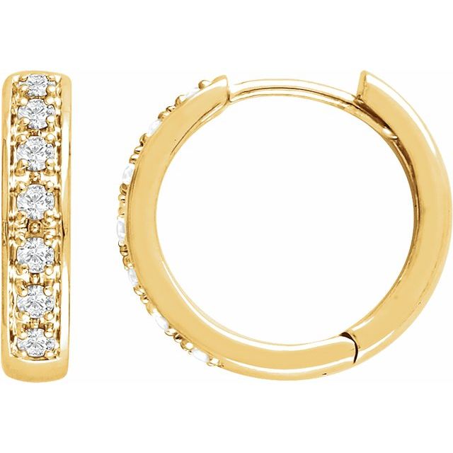 14K Yellow 1/3 CTW Diamond Earrings 1