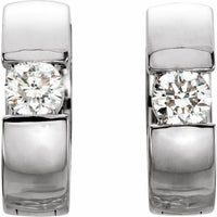 Platinum 1/4 CTW Diamond Hinged Earrings 2