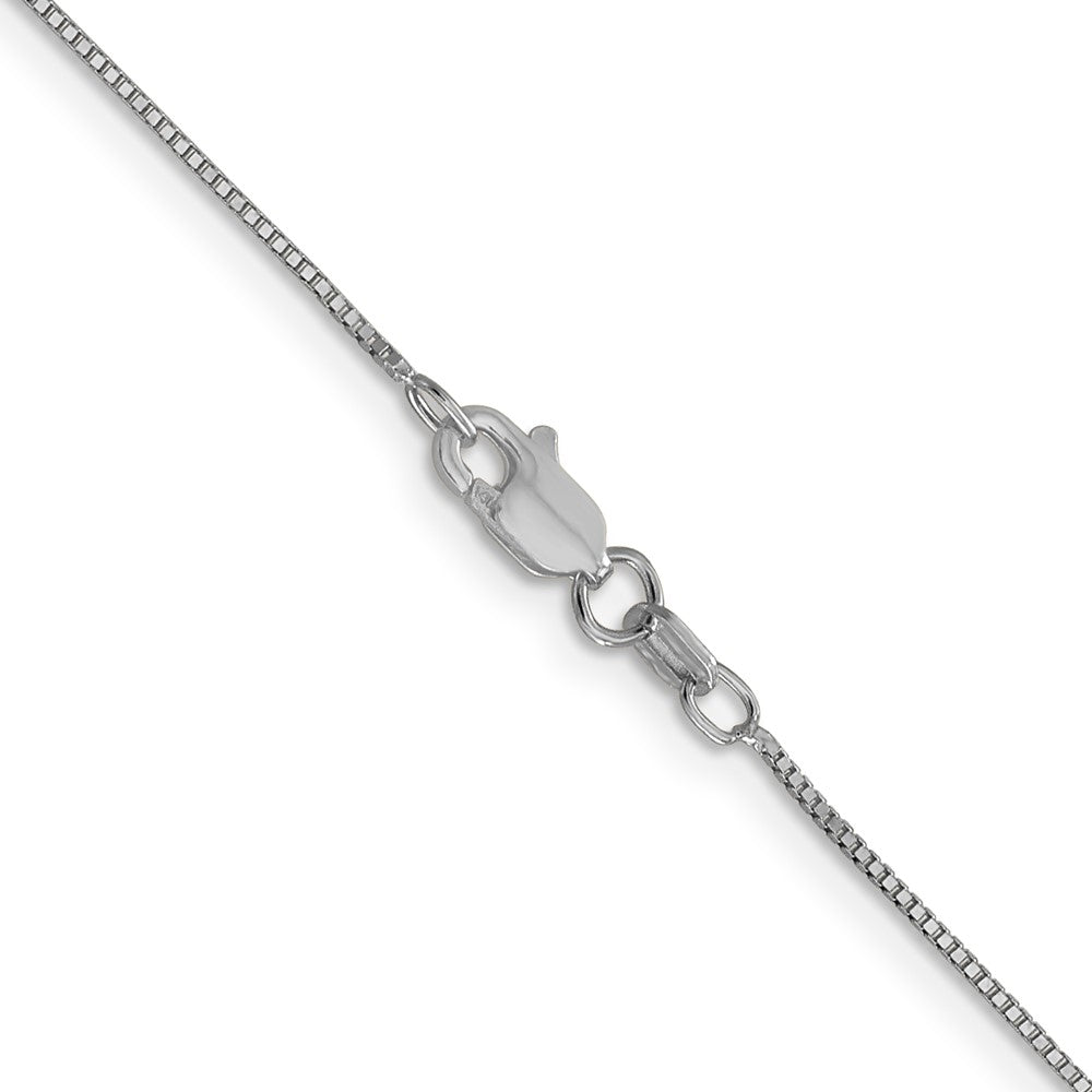 Leslie's 14K White Gold .7mm Box with Lobster Clasp Chain Anklet