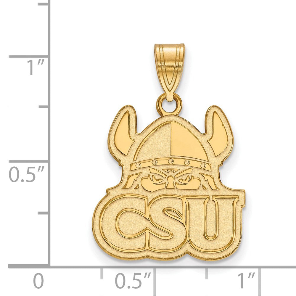 14ky  Cleveland State University Large Pendant