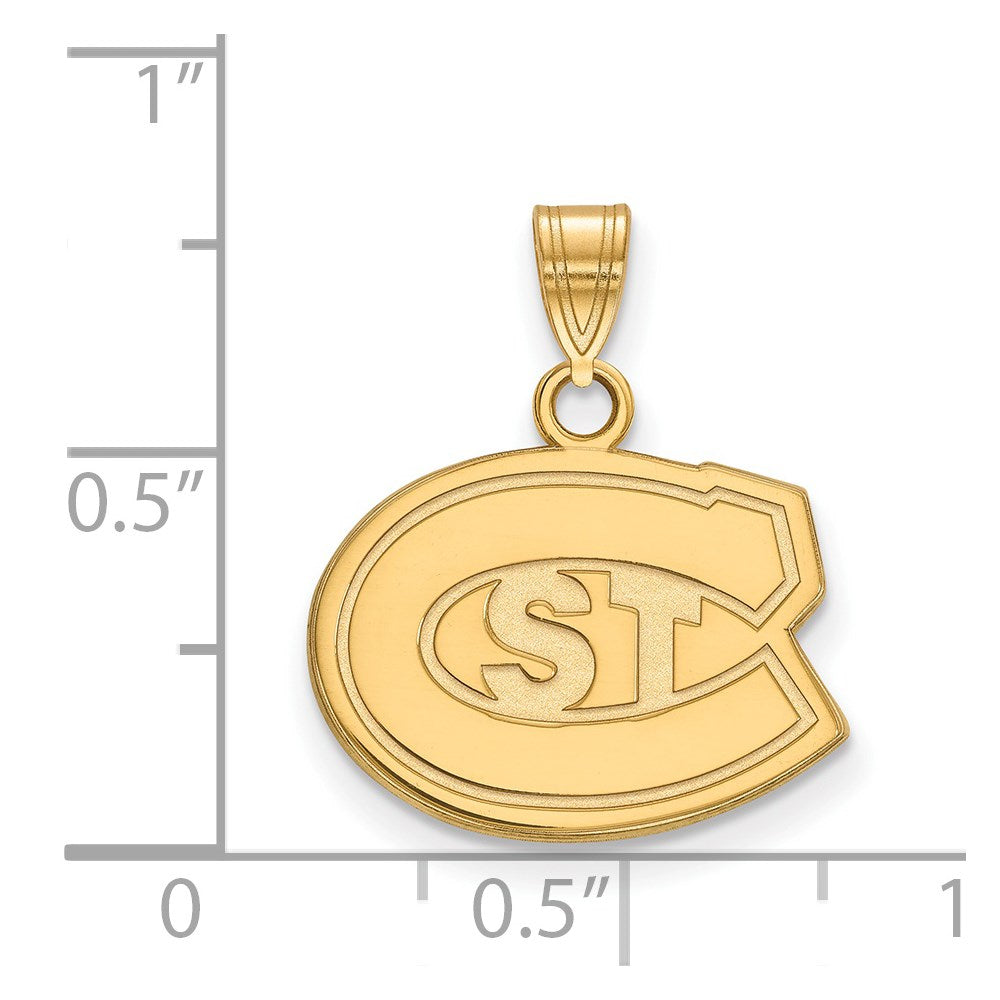 14ky  St. Cloud State Small Pendant