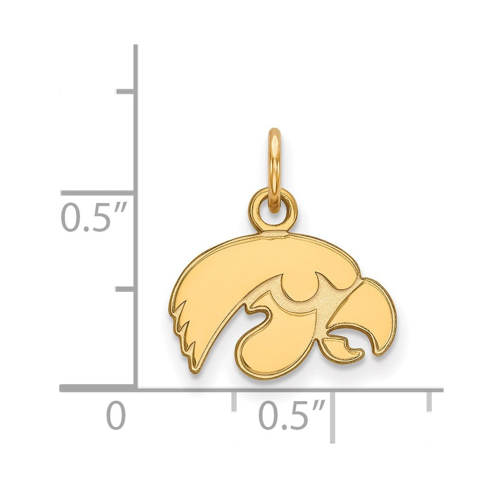 14ky  University of Iowa XS Pendant