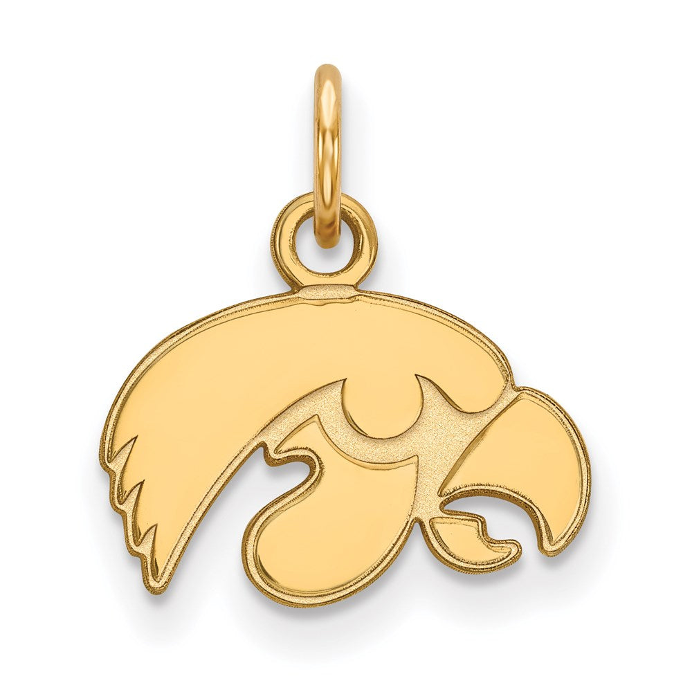 14ky  University of Iowa XS Pendant