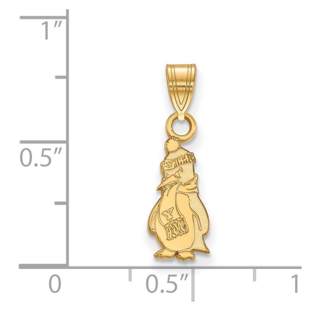 14ky  Youngstown State University Small Pendant