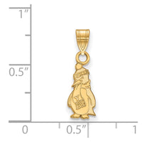 14ky  Youngstown State University Small Pendant
