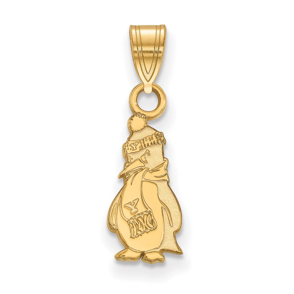 14ky  Youngstown State University Small Pendant
