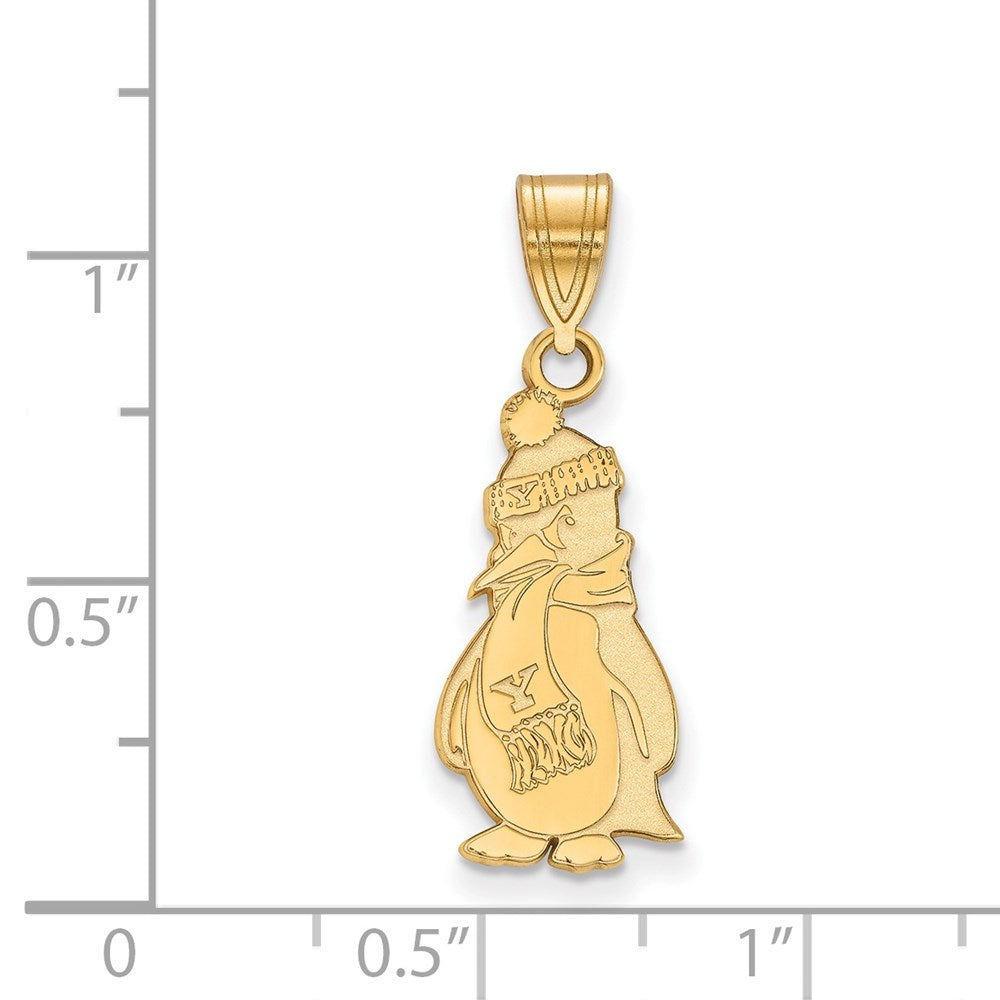 14ky  Youngstown State University Large Pendant