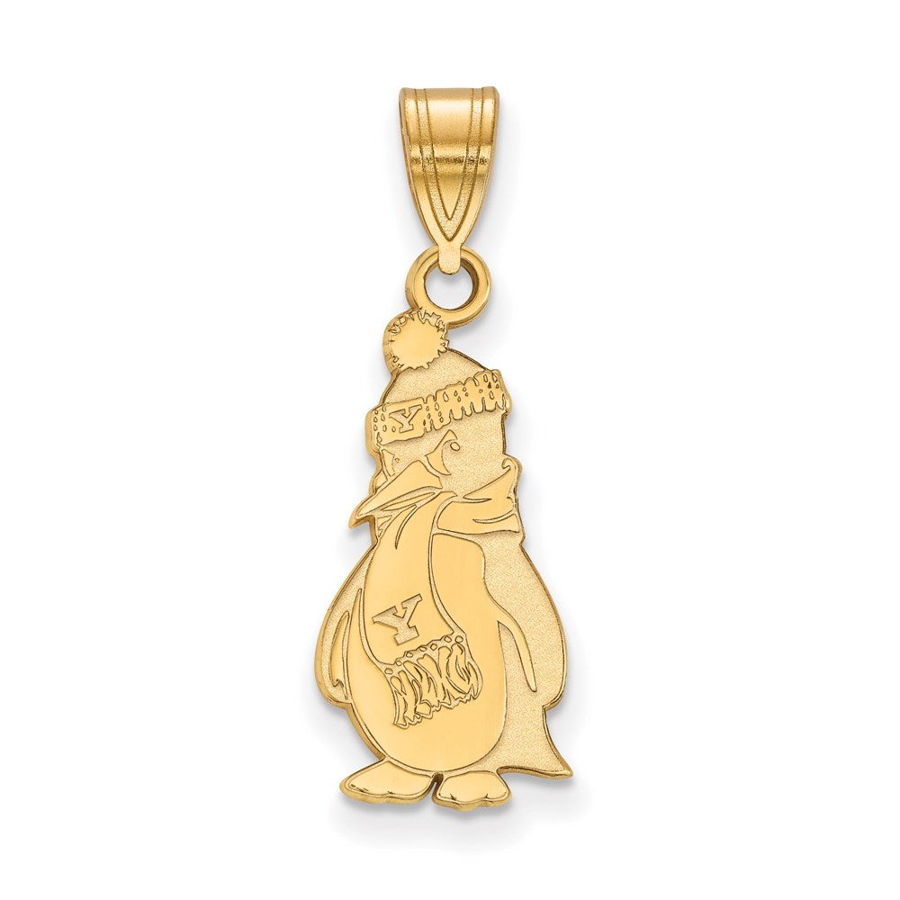 14ky  Youngstown State University Large Pendant