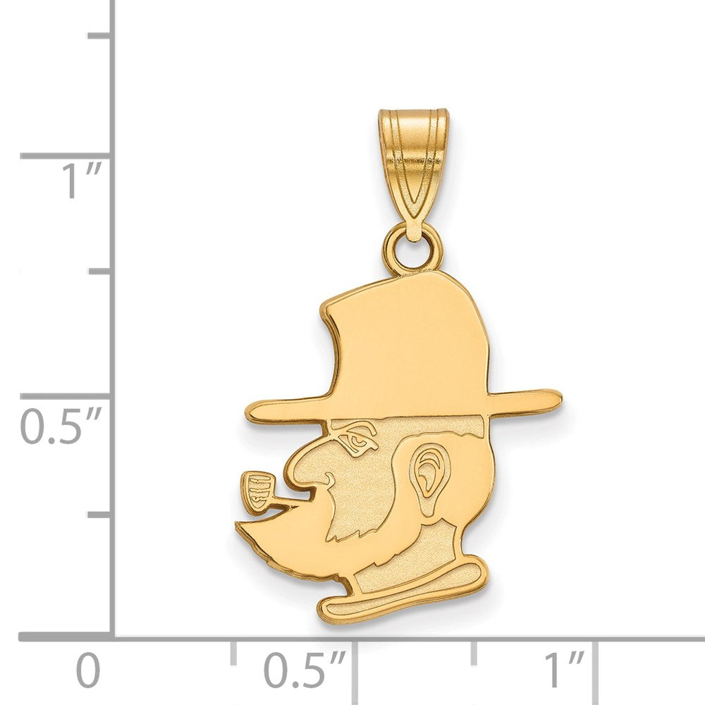 14ky  Appalachian State University Large Pendant