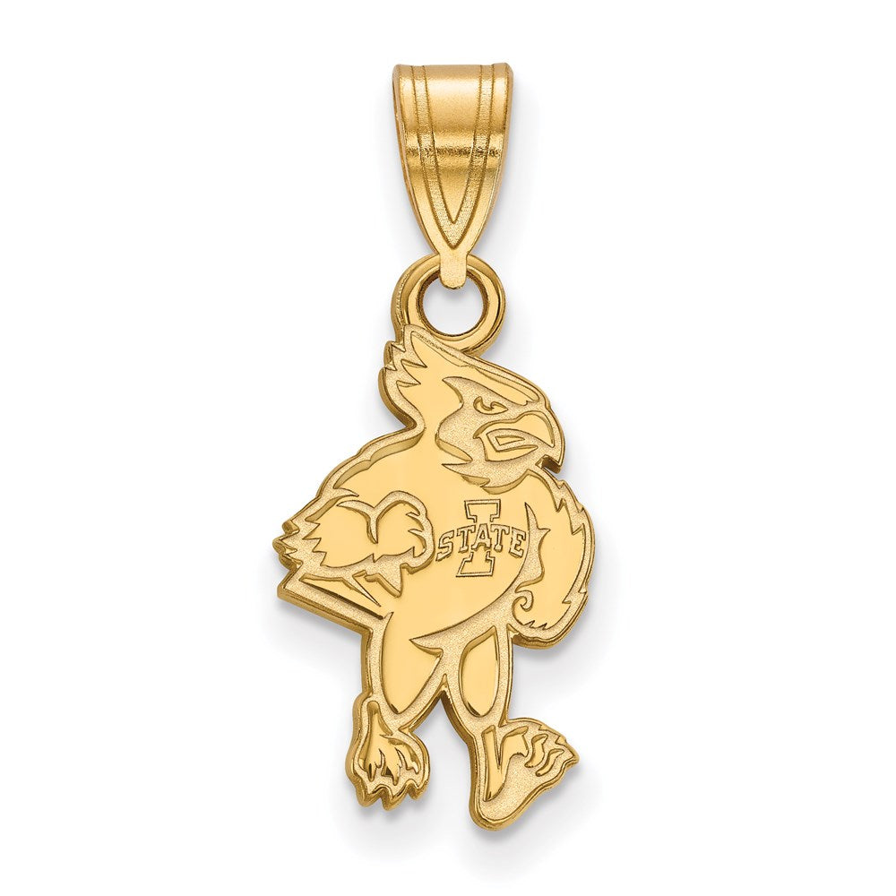 14ky  Iowa State University Medium Pendant