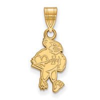 14ky  Iowa State University Medium Pendant
