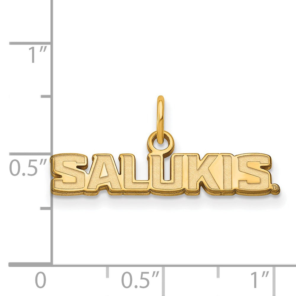 14ky  Southern Illinois University XS Pendant