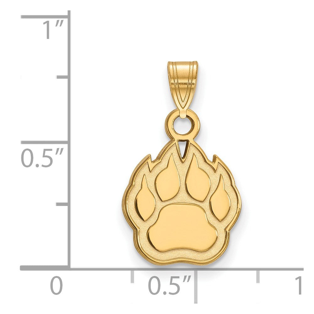 14ky  Northern Illinois University Small Pendant