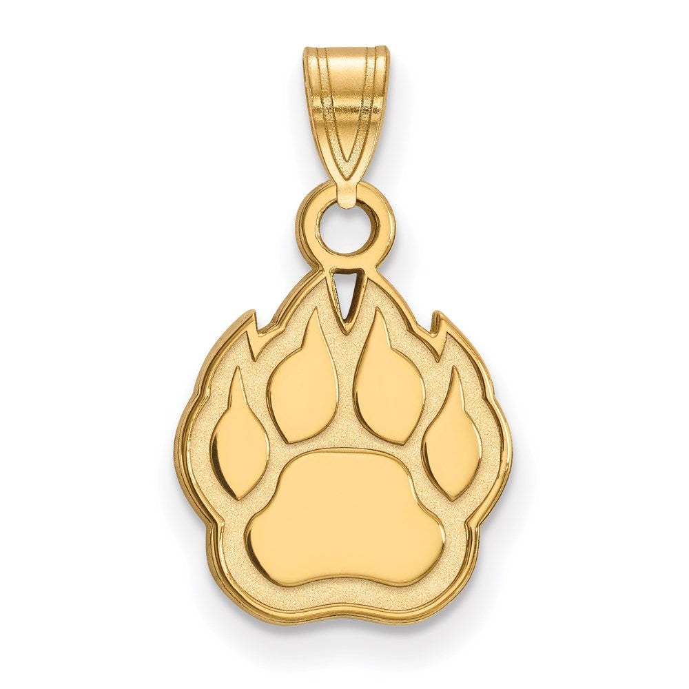 14ky  Northern Illinois University Small Pendant