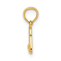 14k Double Notes Charm