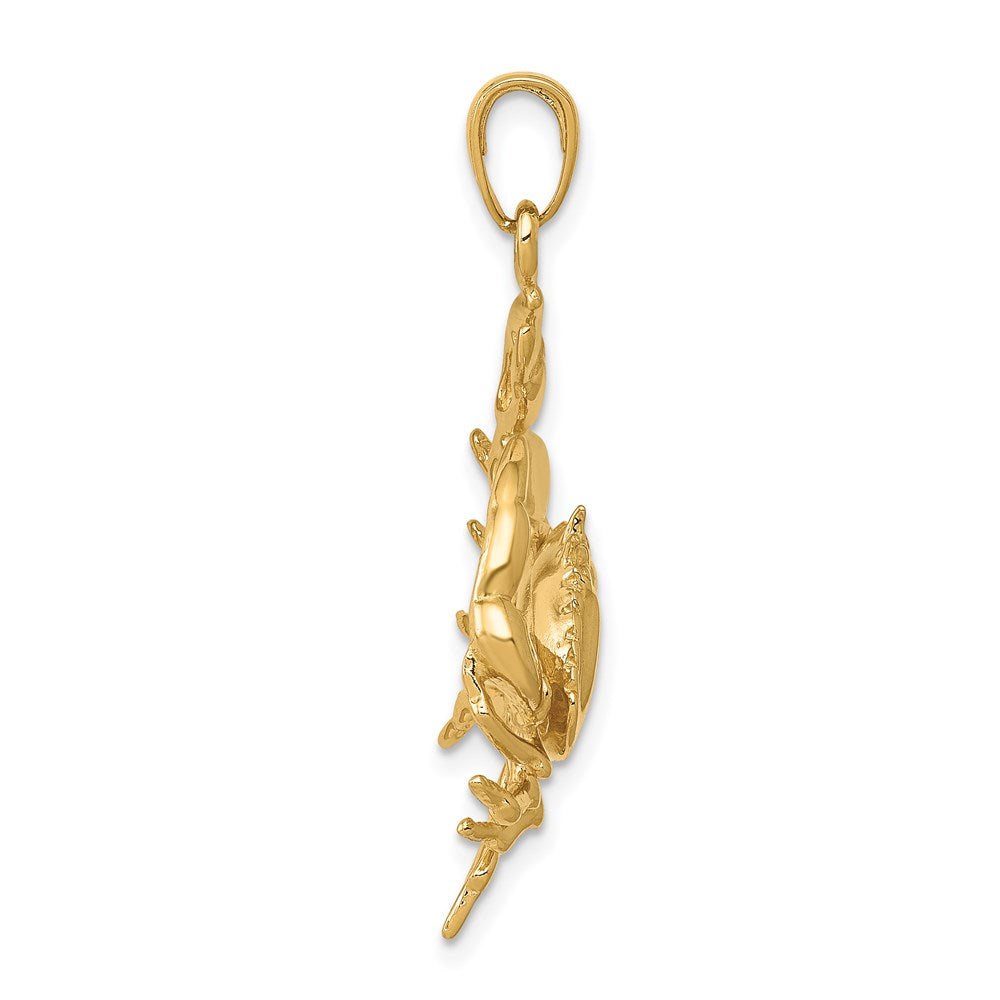 14k Stone Crab with Claw Extended Pendant 2