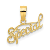 14K Polished and Textured SPECIAL Charm