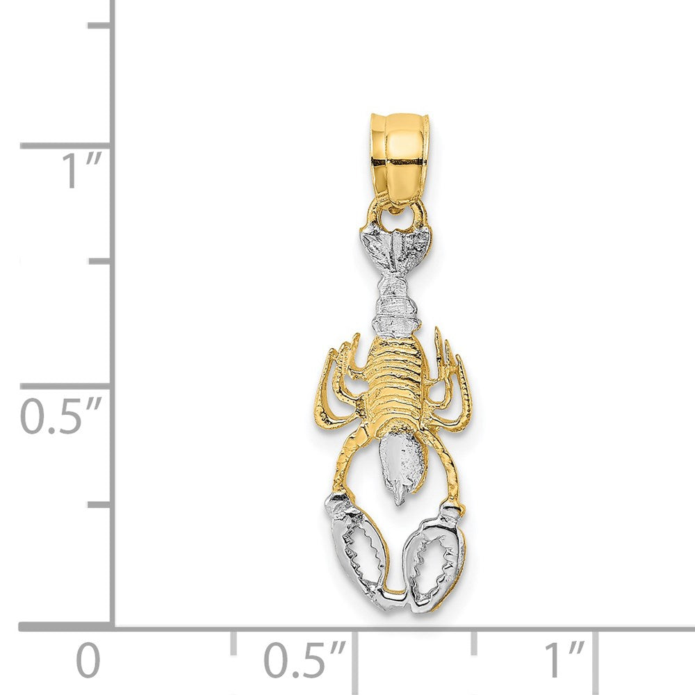 14K with White Rhodium Lobster Charm 4