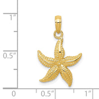 14k Starfish Pendant 4