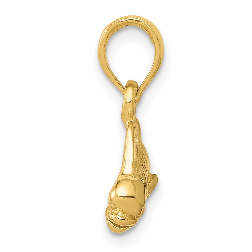 14k Mahi Mahi Fish Pendant 2
